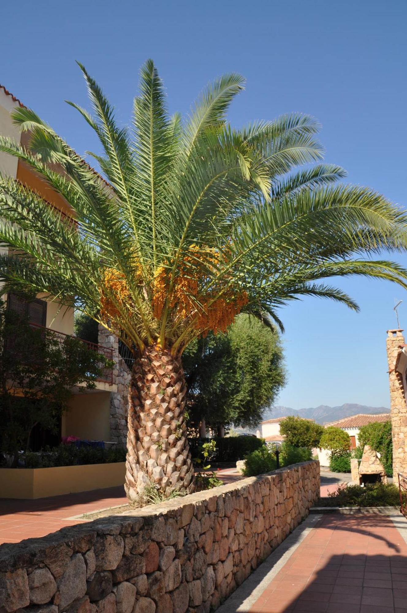 Borgo Le Logge 3* Budoni